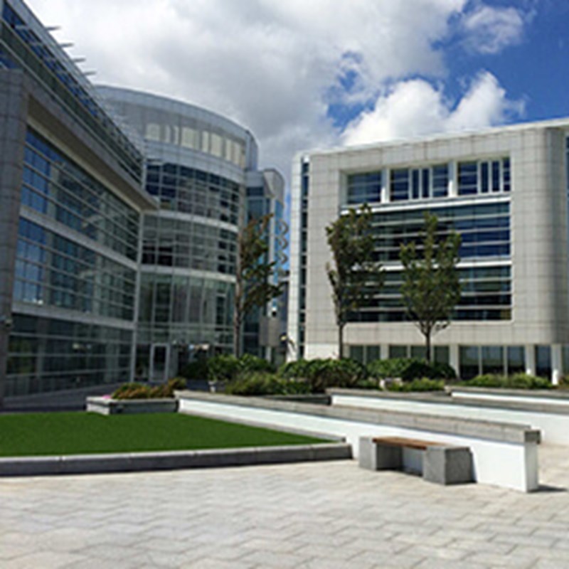 General & Medical Insurance Ltd